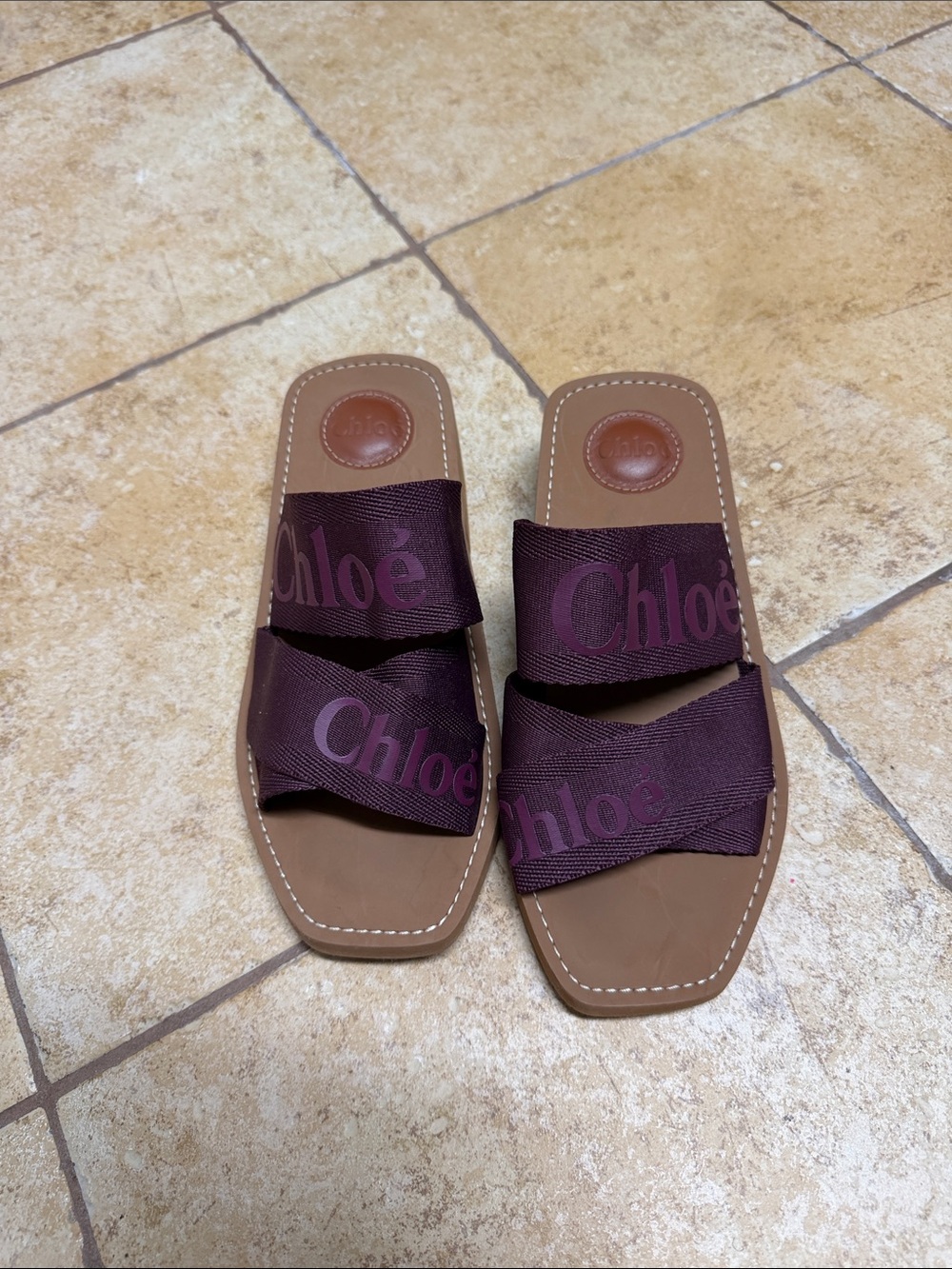 Chloé Brown Leather Slide Sandals with Plum Logo Straps